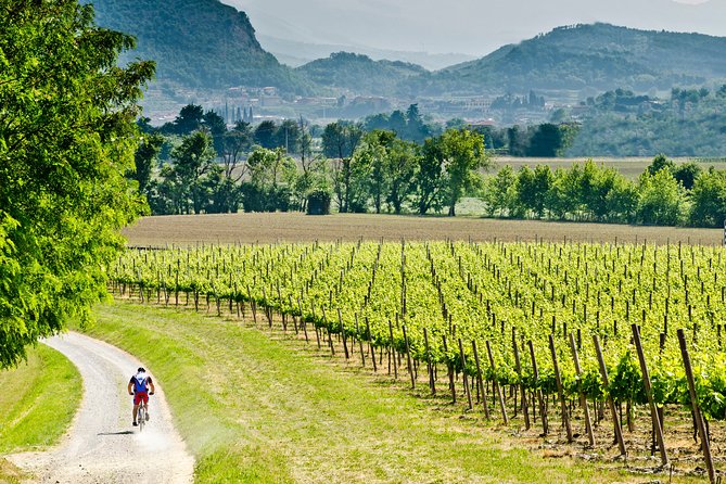 Bergamo and Franciacorta with lunch and cellar visit - Key things to know before booking