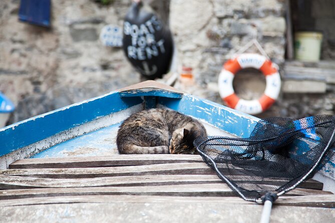 Cinque Terre Day Trip from Milan: Italian Riviera Escape - Vernazza: lunch, harbor views, and a good pause