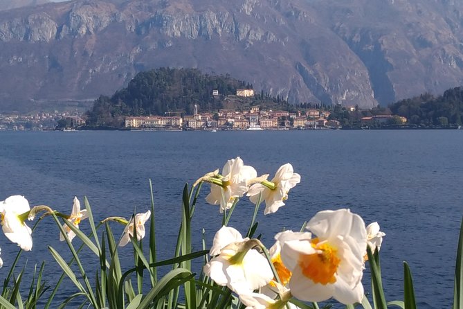 Day tour from Milan: Lake Como & Bellagio Cruise- Semi private - Who should book this Lake Como day trip?