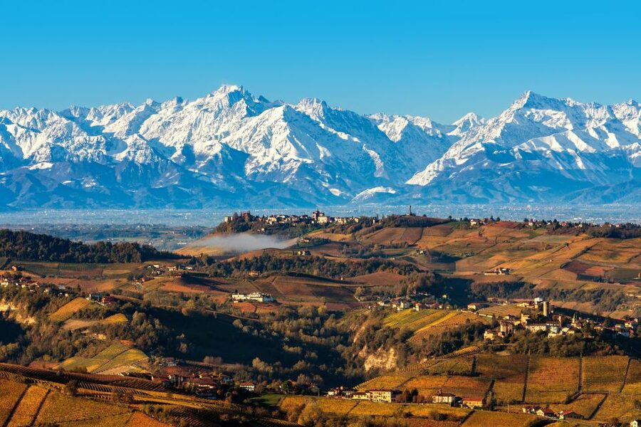 From Milan: Barolo Wine Tasting, Alba Tour and Castle Visit - Key points to know before booking
