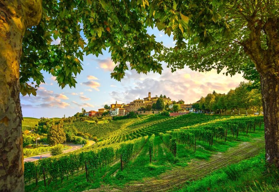 From Milan: Barolo Wine Tasting, Alba Tour and Castle Visit - Why this makes a good escape from Milan
