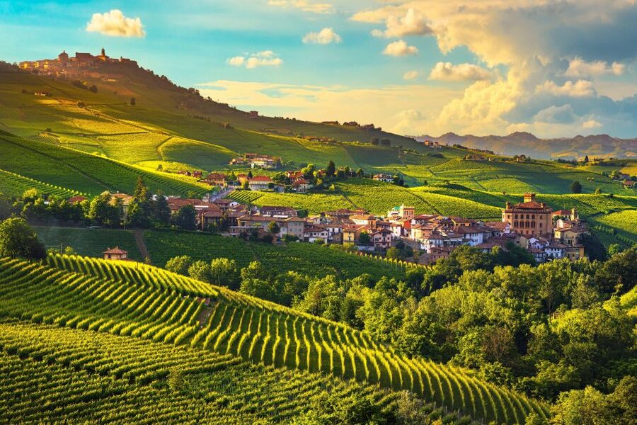 From Milan: Barolo Wine Tasting, Alba Tour and Castle Visit - Alba, Piedmont’s food town