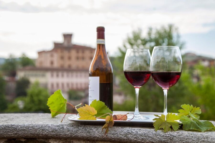 From Milan: Barolo Wine Tasting, Alba Tour and Castle Visit - Tasting Barolo with a family producer