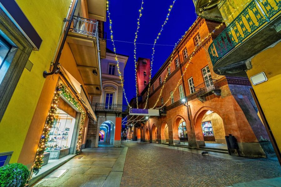 From Milan: Barolo Wine Tasting, Alba Tour and Castle Visit - The castle and the panoramic stop