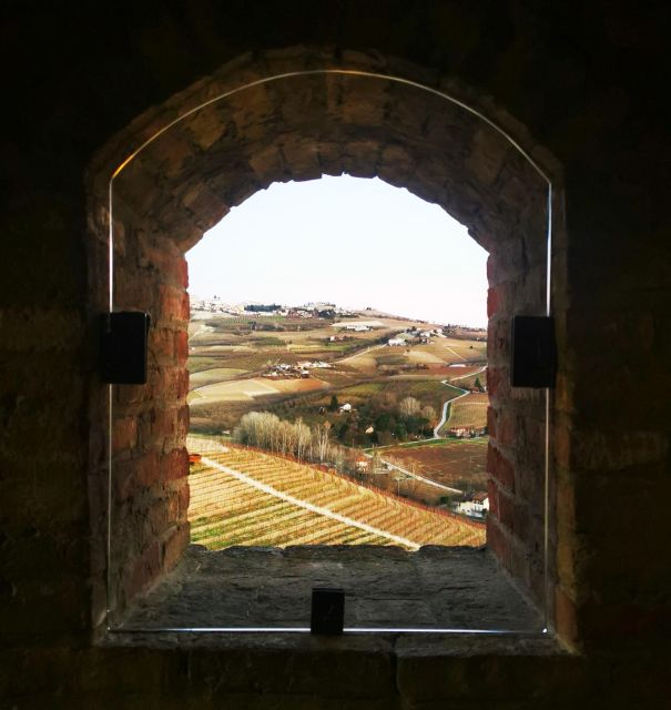 From Milan: Barolo Wine Tasting, Alba Tour and Castle Visit - Is $225.44 a fair price?