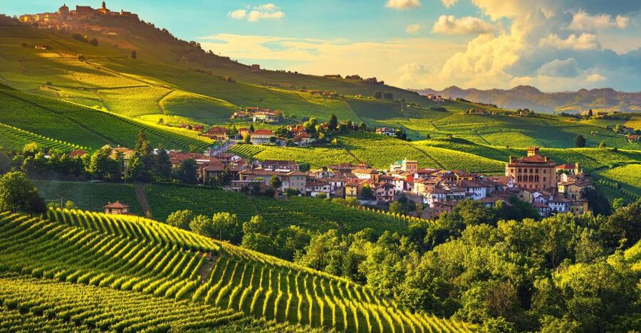 From Milan: Barolo Wine Tasting, Alba Tour and Castle Visit - Meeting in Milan and settling into the van