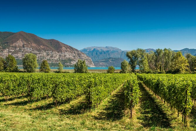 From Milan Full Day in Franciacorta 2 Wineries and Lunch - Key points at a glance