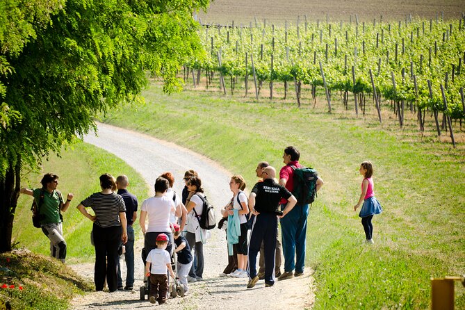 From Milan Full Day in Franciacorta 2 Wineries and Lunch - Who will enjoy this day most