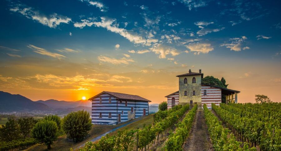 From Milan: Full Day in Franciacorta. 2 Wineries & Lunch - Leaving Milan for Franciacorta