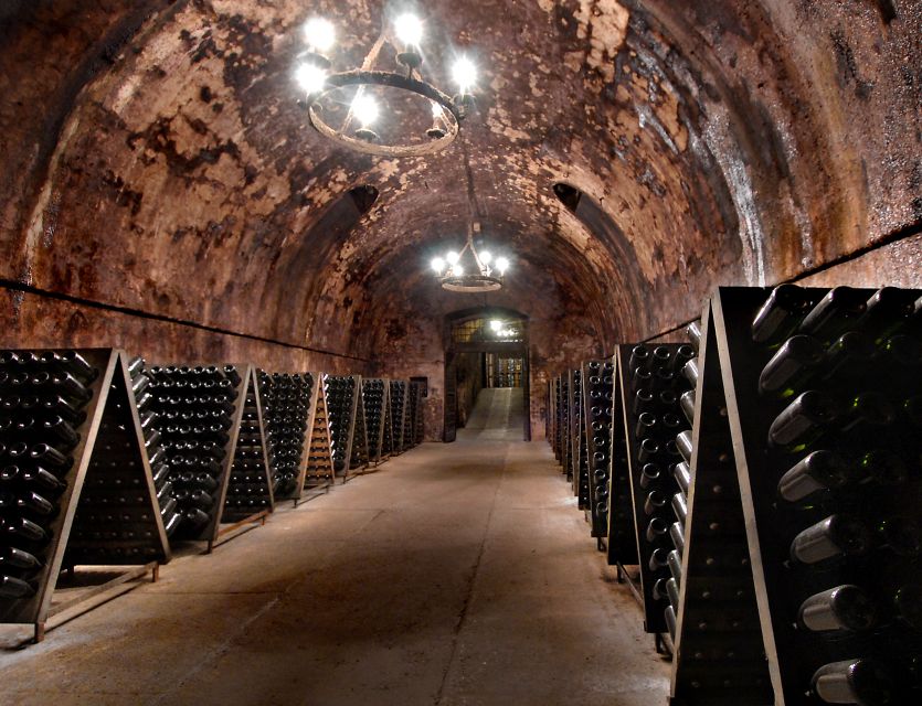 From Milan: Full Day in Franciacorta. 2 Wineries & Lunch - Who will enjoy this day most