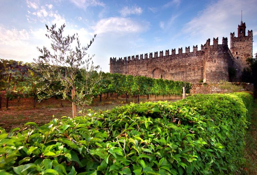 From Milan: Full Day in Franciacorta. 2 Wineries & Lunch - FAQ