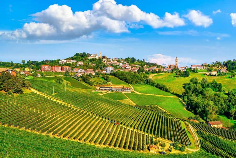 From Milan: Langhe Wine Region Day Trip with Barolo Tasting - Leaving Milan for the Langhe hills