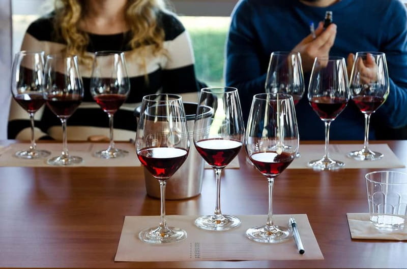 From Milan: Langhe Wine Region Day Trip with Barolo Tasting - Is the tour a good value?