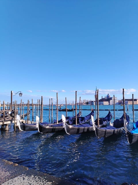 From Milan: Venice City Highlights Guided Day Trip - Why this Milan to Venice day trip works