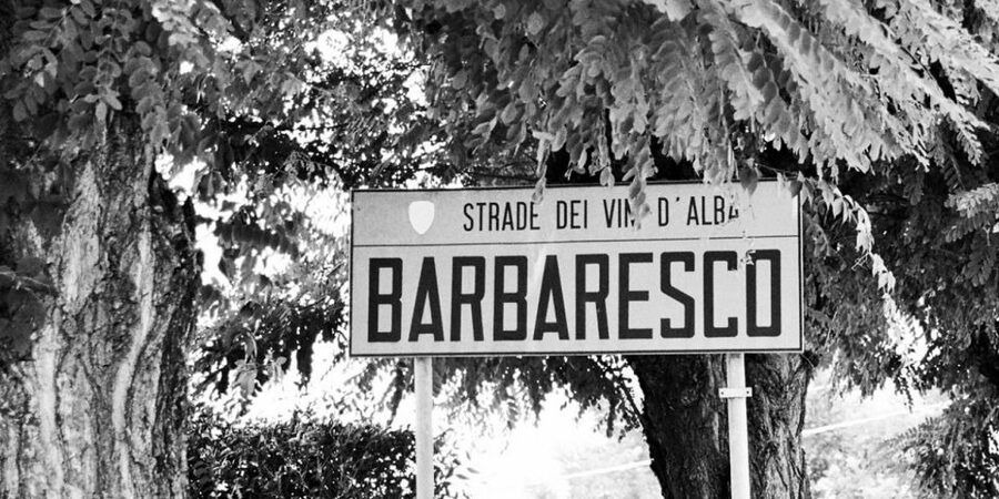 Full-Day Barbaresco Wine Tour with Truffle Hunting and Lunch - Why this Piedmont day is more than a winery visit