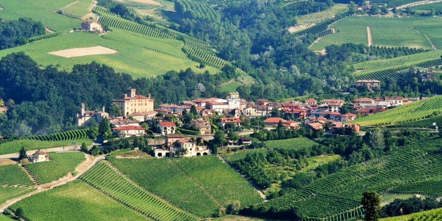Full-Day Barbaresco Wine Tour with Truffle Hunting and Lunch - Visiting a Barbaresco winery