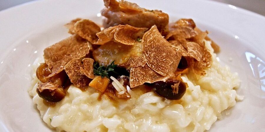 Full-Day Barbaresco Wine Tour with Truffle Hunting and Lunch - Who should book this experience