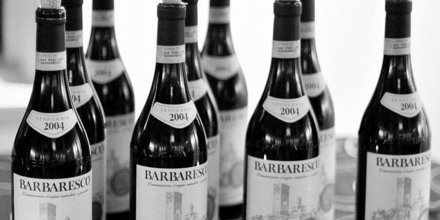 Full-Day Barbaresco Wine Tour with Truffle Hunting and Lunch - Searching the woods with truffle dogs