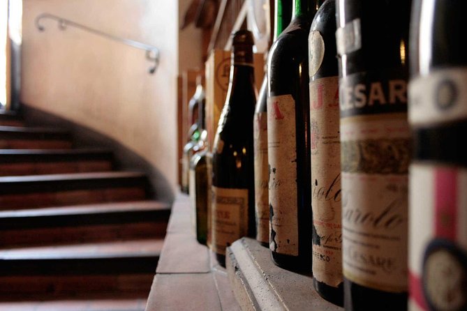 Italian Wine Tasting in Milan - Cheese, cold meats, and Milanese snacks
