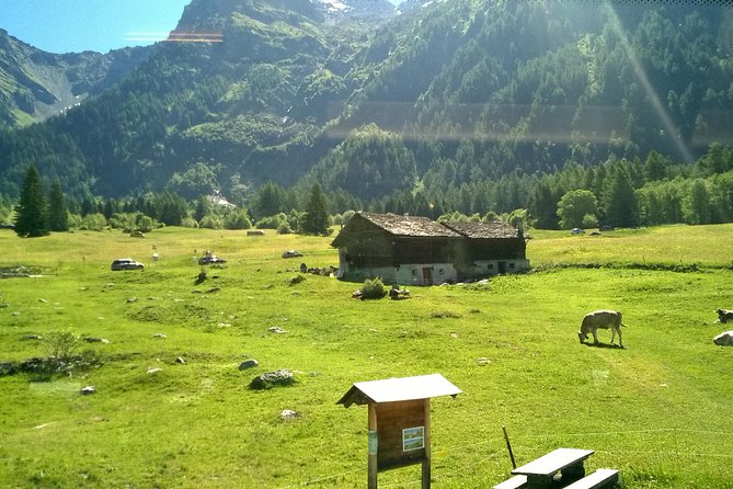 Lake Como, Swiss Alps and Bernina Train From Milan - Guides, vehicles, and the pace of the day