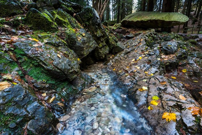 Lake Como trekking private guided tour, from Milan - Price and value for up to three people
