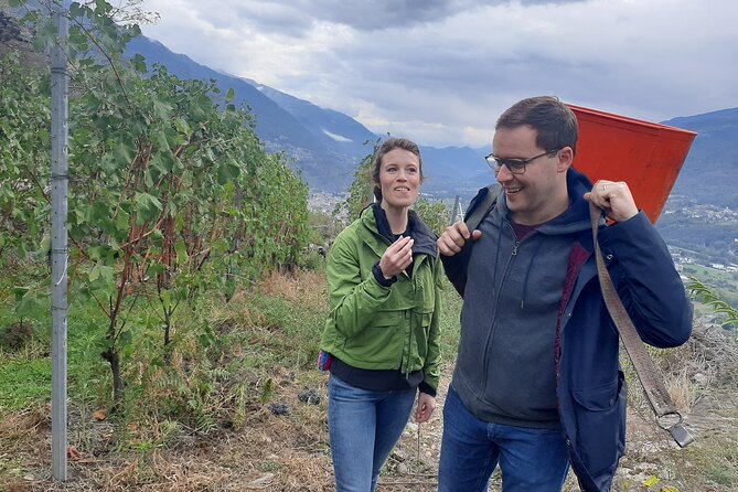 Lake Como & UNESCO Dry-stone Walls Vineyards - Physical demands and who should book