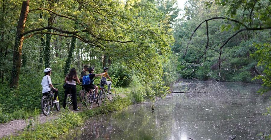 Milan: Bike Tour with Picnic on the turtle lake - Key points to know before you book