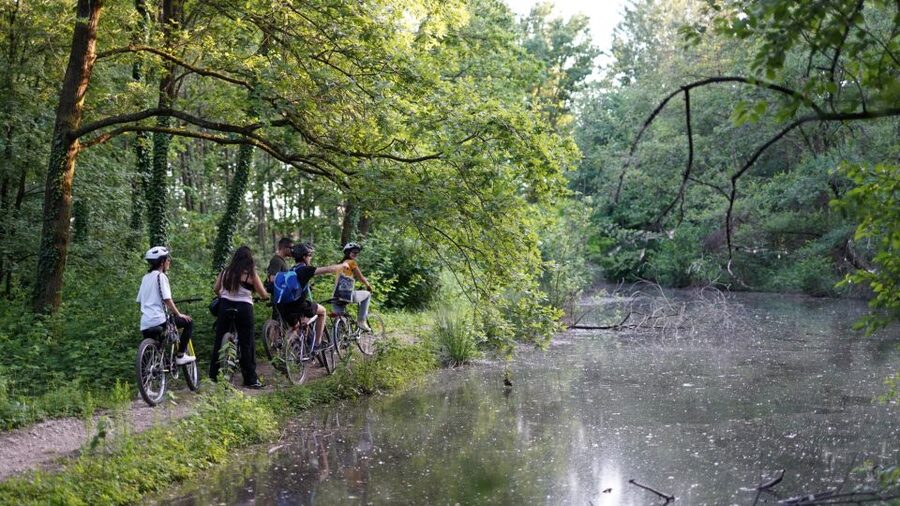 Milan: Bike Tour with Picnic on the turtle lake - Boscoincittà: woods, open fields, and the first pause