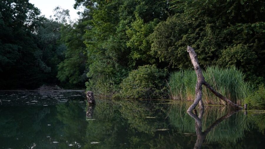 Milan: Bike Tour with Picnic on the turtle lake - Parco Aldo Aniasi: a gentle finish near the city