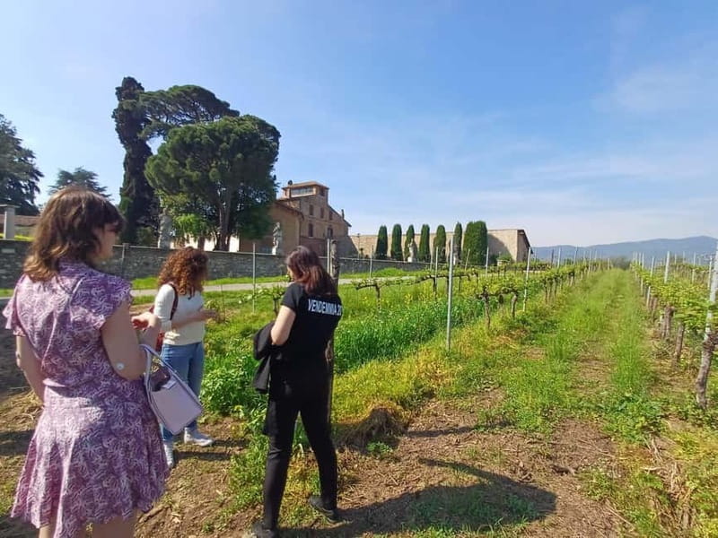 Milan: Brescia & Franciacorta with Wine Tasting Small Group - Why pair Brescia with Franciacorta?