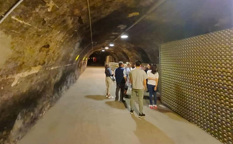 Milan: Brescia & Franciacorta with Wine Tasting Small Group - What the price includes at $214.11
