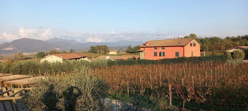Milan: Brescia & Franciacorta with Wine Tasting Small Group - The return to Milan