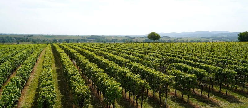Milan: Brescia & Franciacorta with Wine Tasting Small Group - Who will get the most from this day?