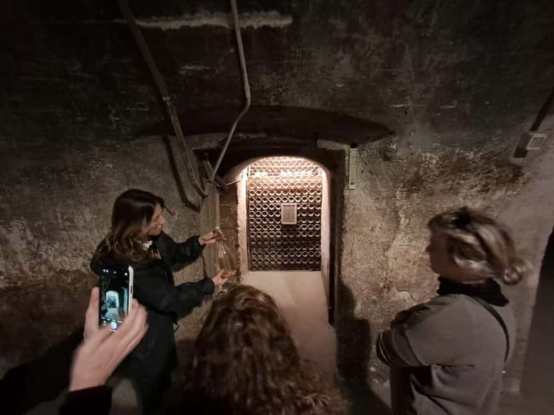 Milan: Brescia & Franciacorta with Wine Tasting Small Group - Booking flexibility and practical planning
