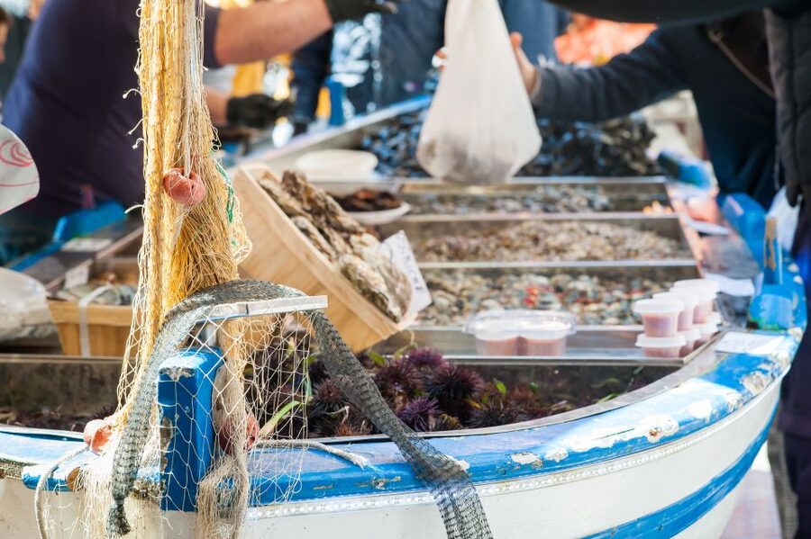 Milan: Market and Meal at a Local's Home - Who will enjoy this home meal most