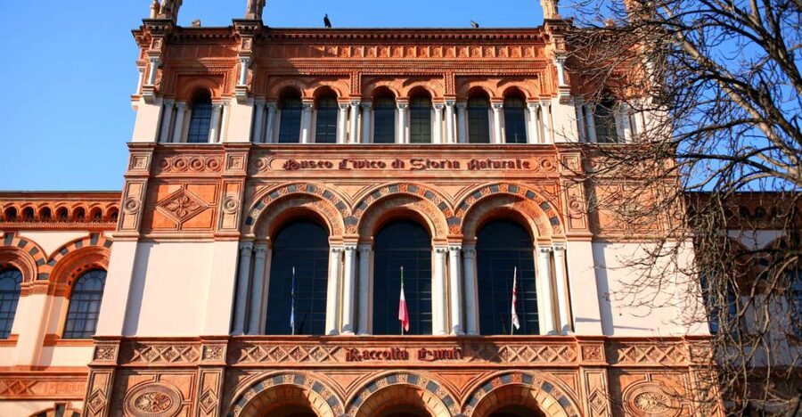 Milan: Natural History Museum Entry Ticket & Audio Guide - How the smartphone audio guide works