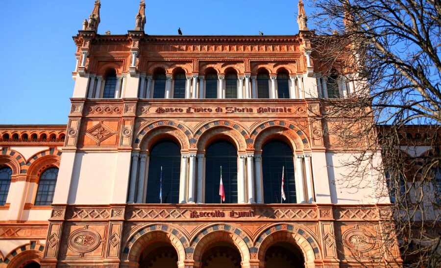 Milan: Natural History Museum Entry Ticket & Audio Guide - Is $12 a fair price?