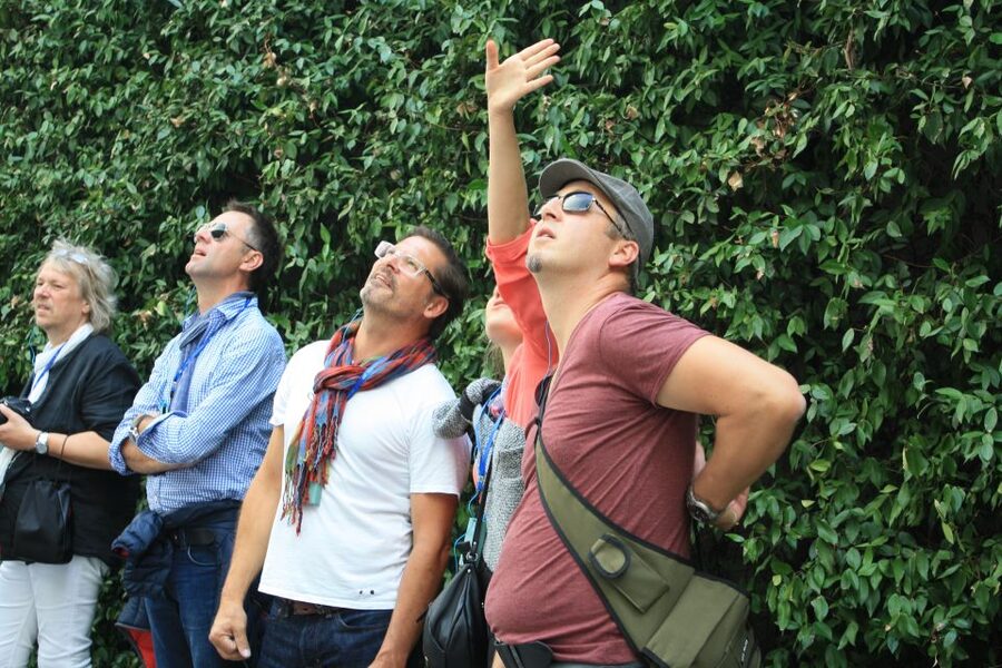 Milan: Piazza Gae Aulenti and Pelli Tower Walking Tour - Who will enjoy this Milan architecture tour?