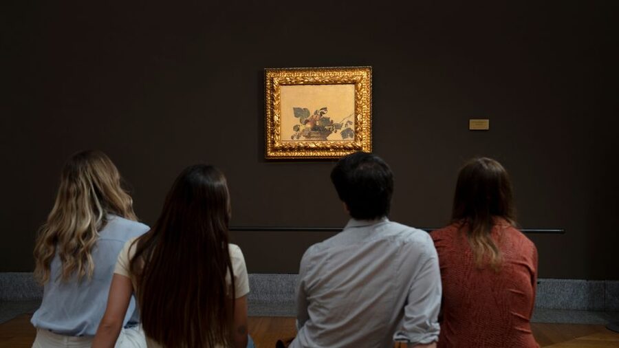 Milan: Pinacoteca Ambrosiana and San Sepolcro Crypt Ticket - Why the Ambrosiana deserves a place near the Duomo