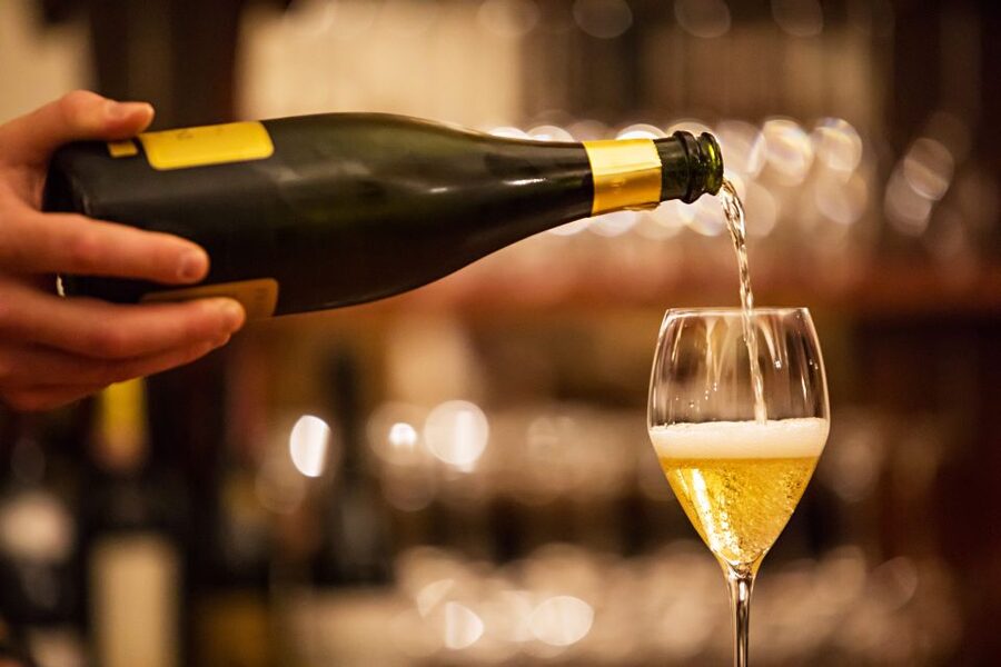 Milan: Wine Tasting Experience in the City Centre - Small plates prepared by a chef