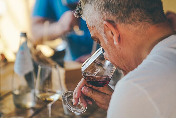 Private Langhe and Barolo Wine Tour from Milan - Why this Milan day trip is really about the drive