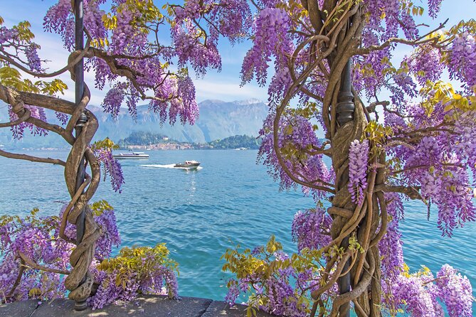 Private Tour: Lake Como From Milan with Private Driver and Boat - Bellagio, lunch, and free time