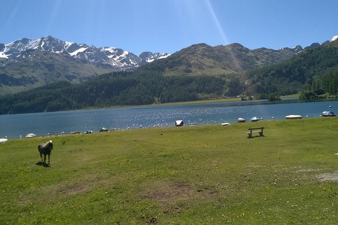 Private tour to Bernina train & Lake Como. Hotel pick-up - One hour in St. Moritz at 1,856 meters