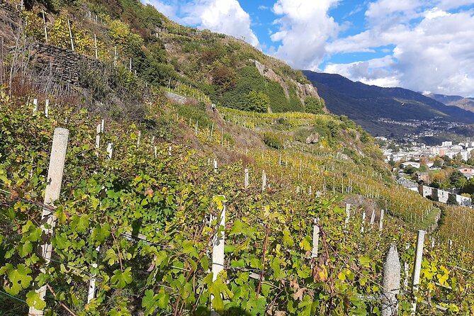 Private Wine Tour: Terraced Vineyards with Alpine view from Milan - From Milan Central to the mountains
