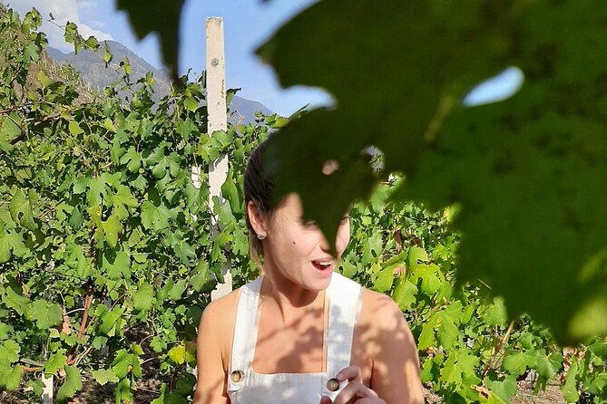 Private Wine Tour: Terraced Vineyards with Alpine view from Milan - Lunch and the two-hour pause