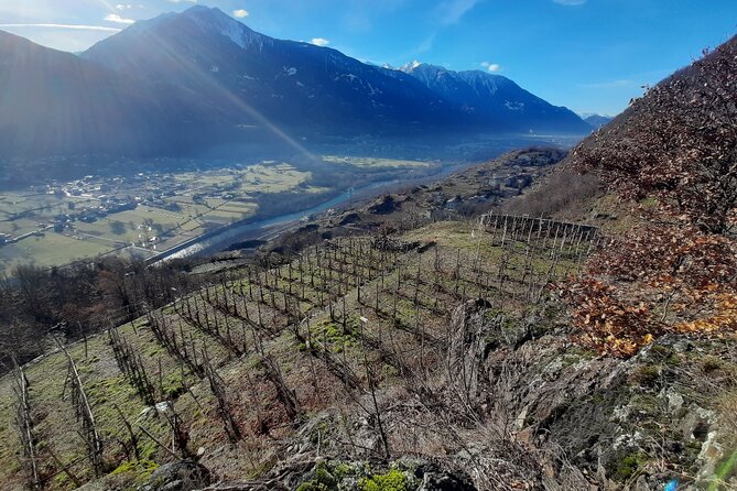 Private Wine Tour: Terraced Vineyards with Alpine view from Milan - A second drive through the valley