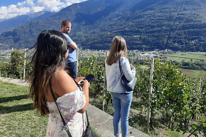 Private Wine Tour: Terraced Vineyards with Alpine view from Milan - The second winery and a slower finish
