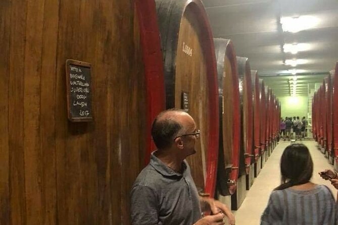 Private Wine Tour: Terraced Vineyards with Alpine view from Milan - Morbegno and the possible underground cellars