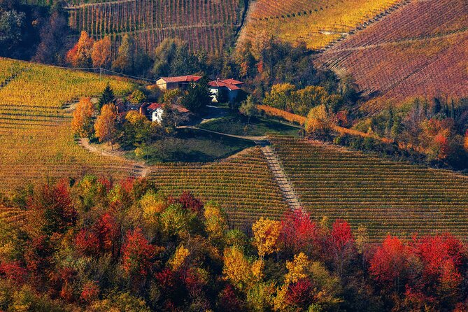 Small-Group Barolo Wine Tasting, Alba & UNESCO Piedmont Hills - Grinzane Cavour Castle and the Story Behind Barolo