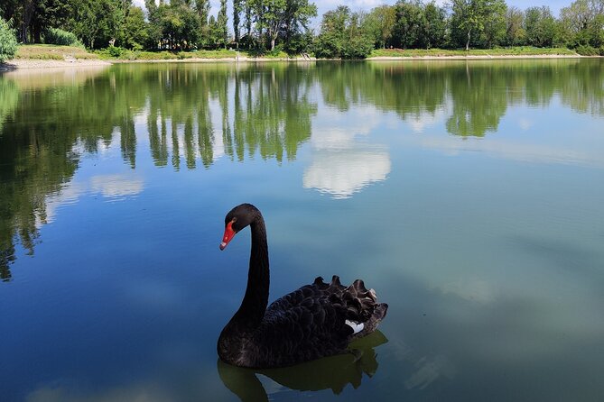 The Milan you don't expect, bike tour with picnic on the lake - Key points to know before booking